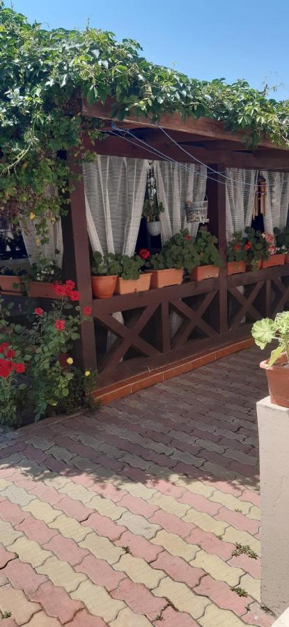 ホテル Casa David スリナ エクステリア 写真